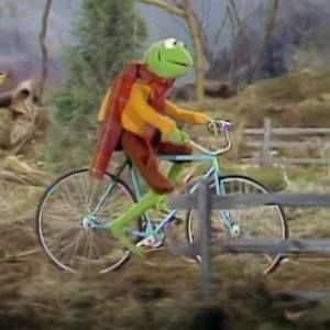 Meet your Posher, Robyn